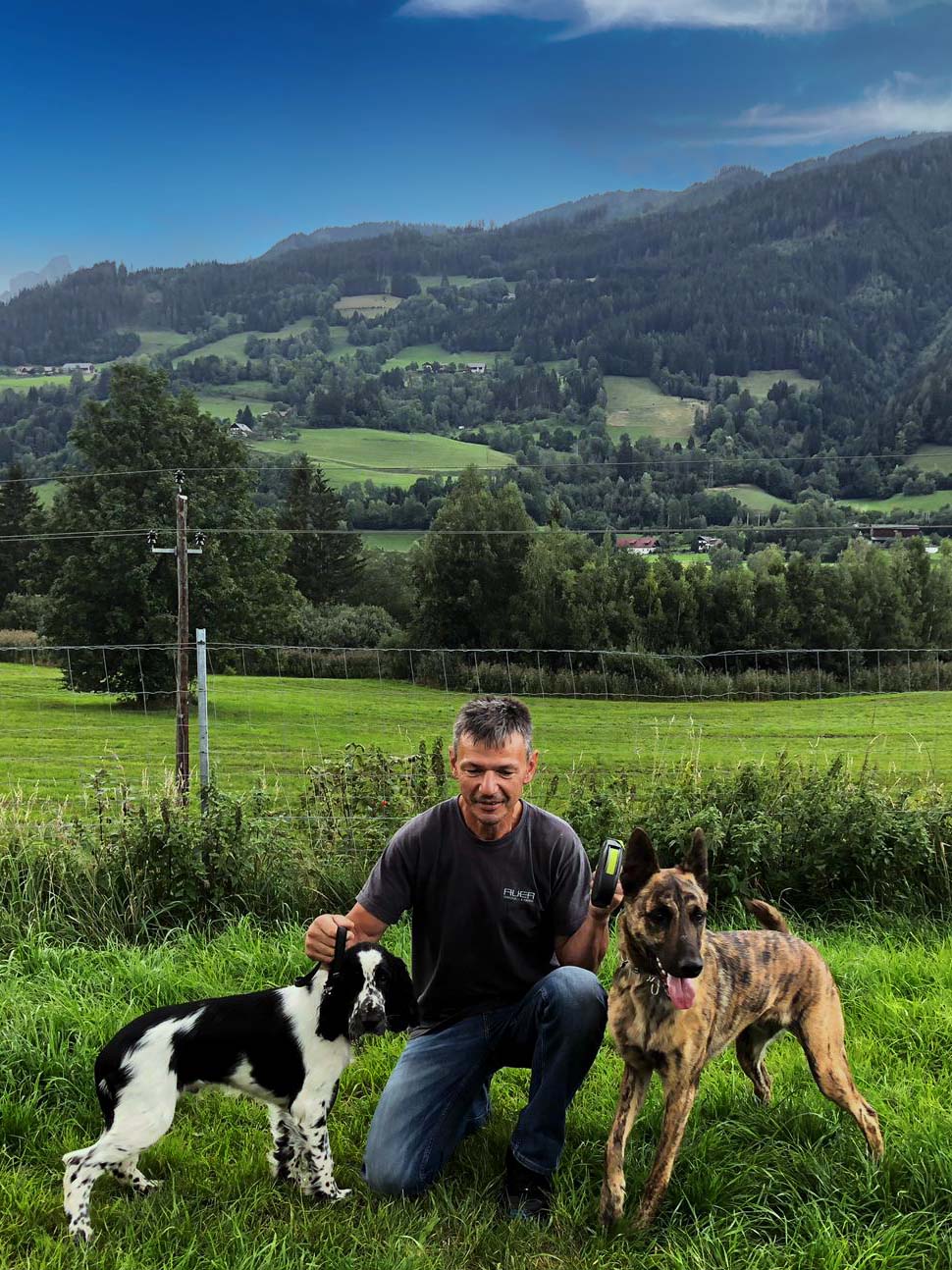 Schimmel_Bettwanzen_Spuerhunde